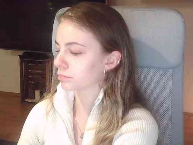 AriaModel webcam
