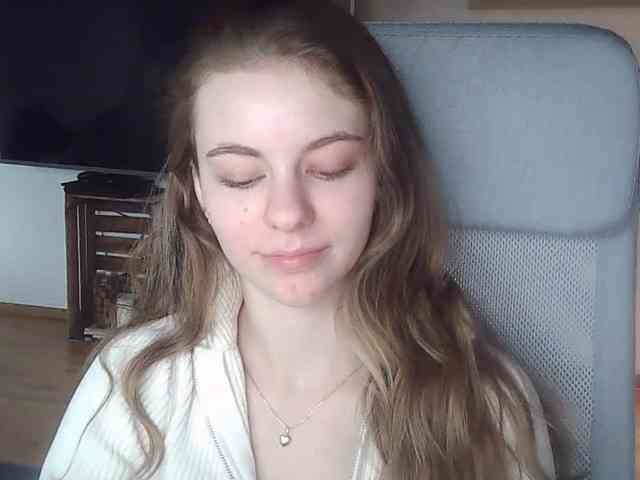 AriaModel webcam