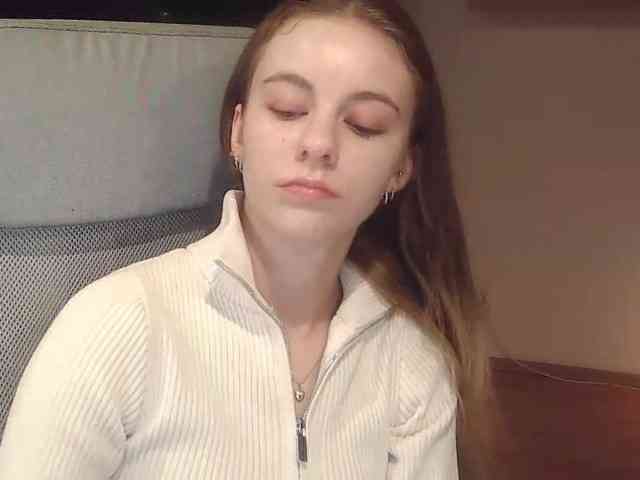 AriaModel webcam