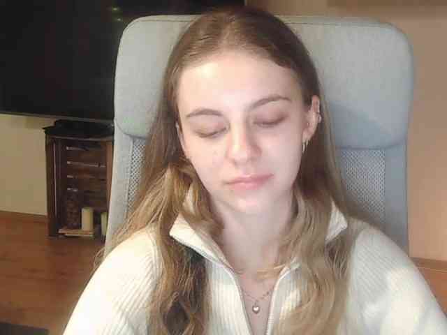 AriaModel webcam
