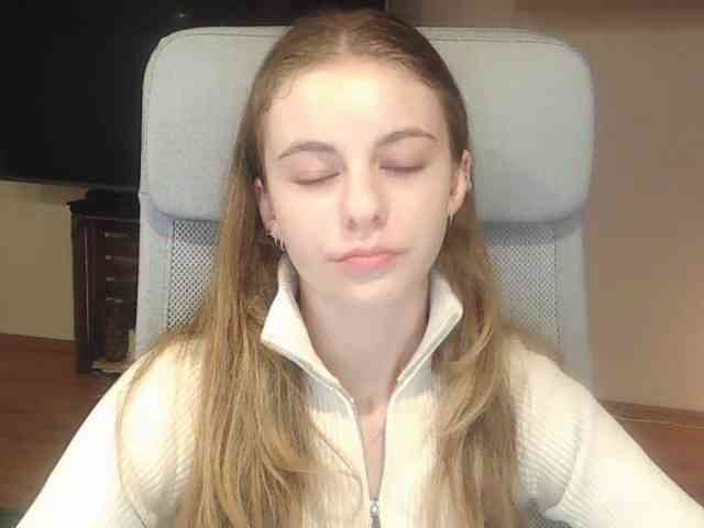 AriaModel webcam