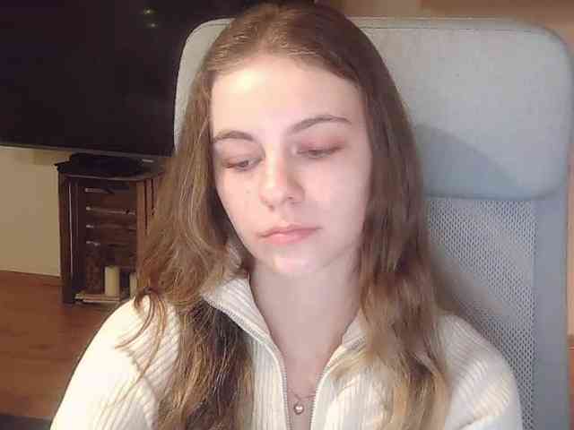 AriaModel webcam