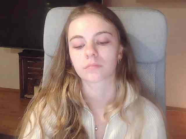 AriaModel webcam