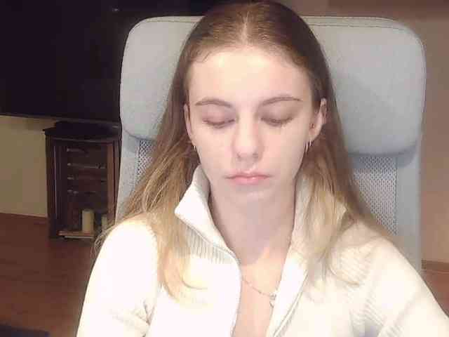 AriaModel webcam