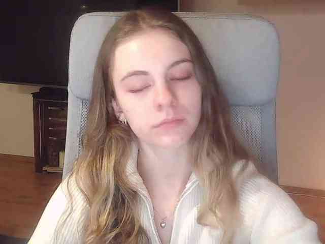 AriaModel webcam