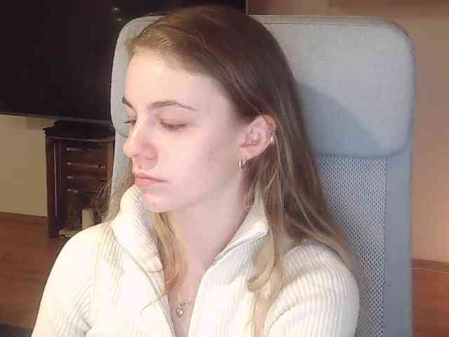 AriaModel webcam