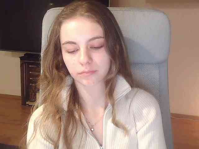 AriaModel webcam