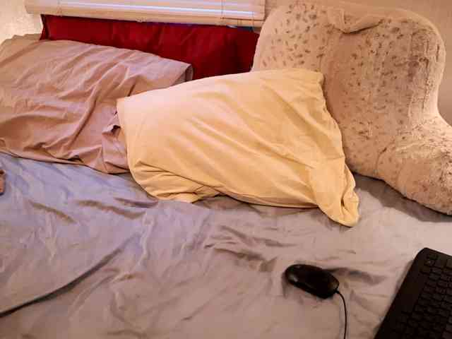 XxpixeyxX webcam