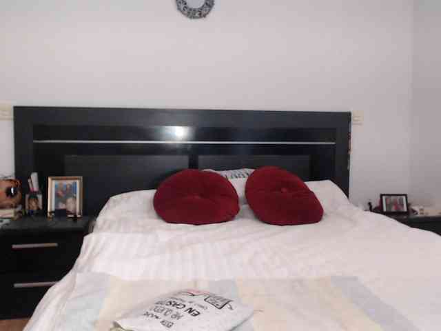 angycougar webcam