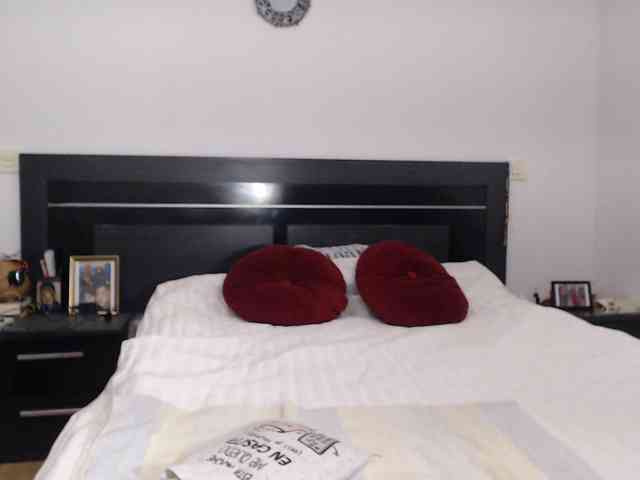 angycougar webcam
