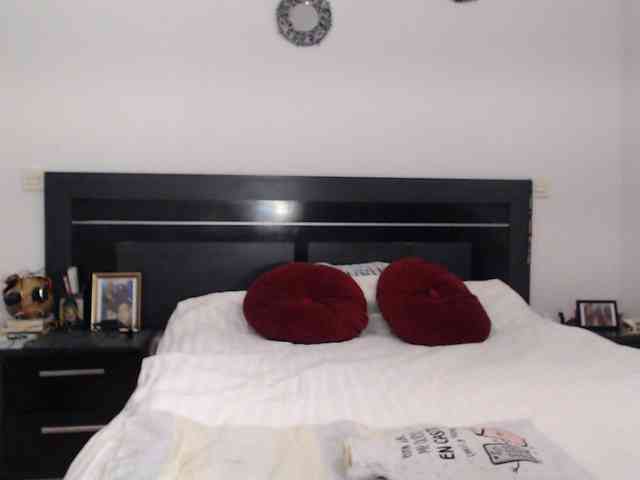 angycougar webcam