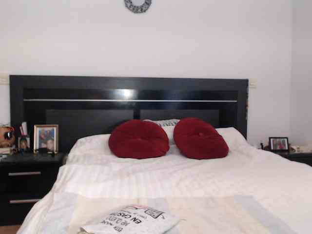 angycougar webcam