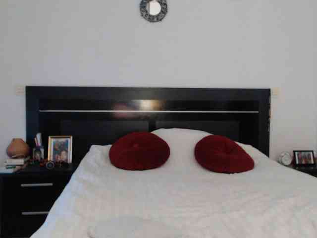 angycougar webcam