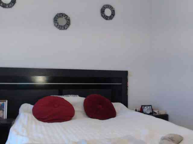 angycougar webcam