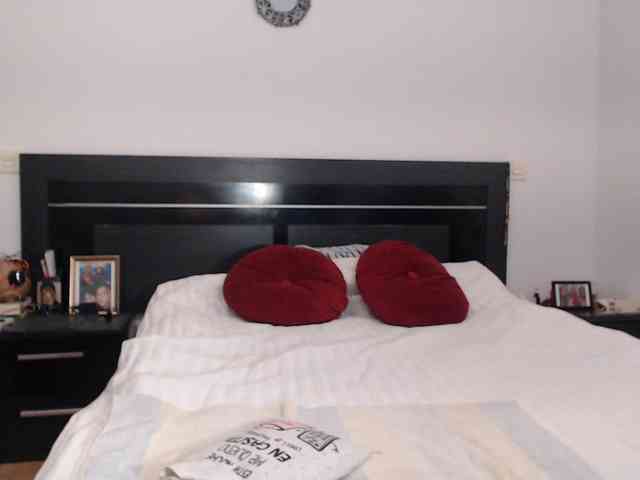 angycougar webcam