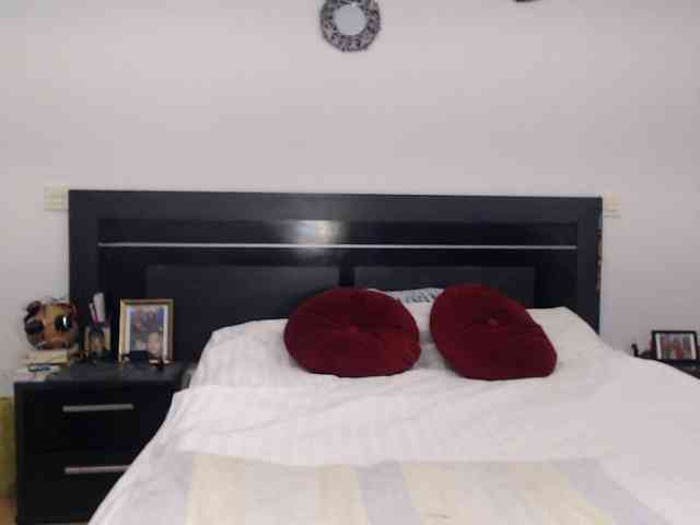 angycougar webcam
