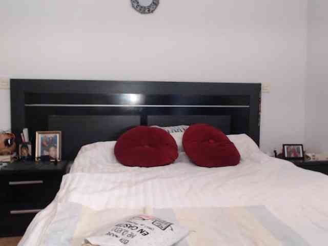 angycougar webcam