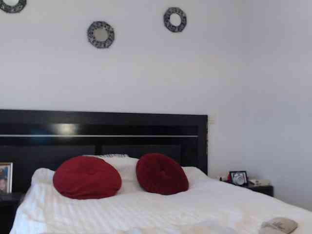 angycougar webcam