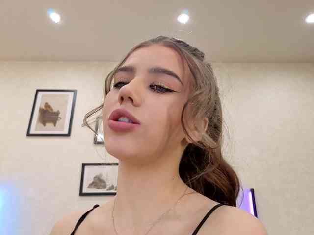 dolly-ll webcam
