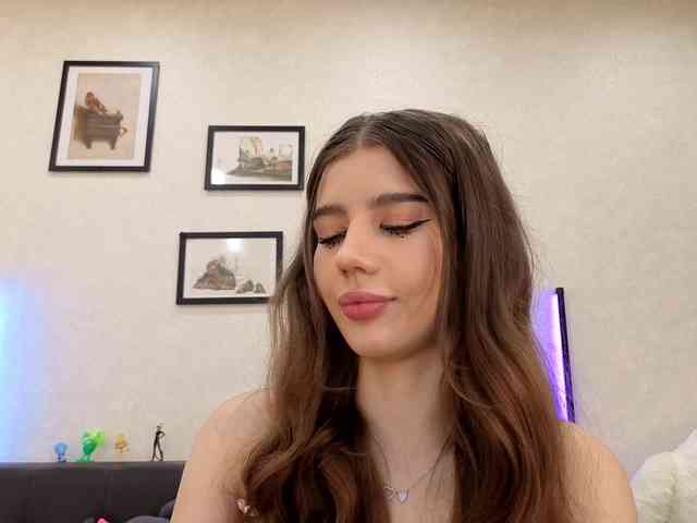 dolly-ll webcam