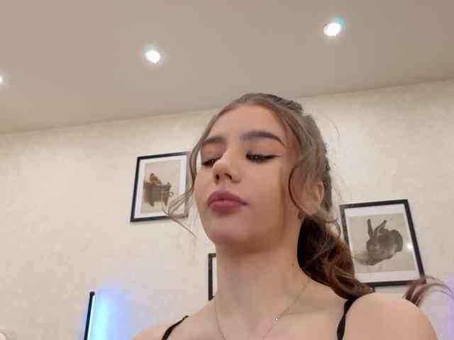 dolly-ll webcam