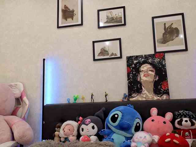 dolly-ll webcam