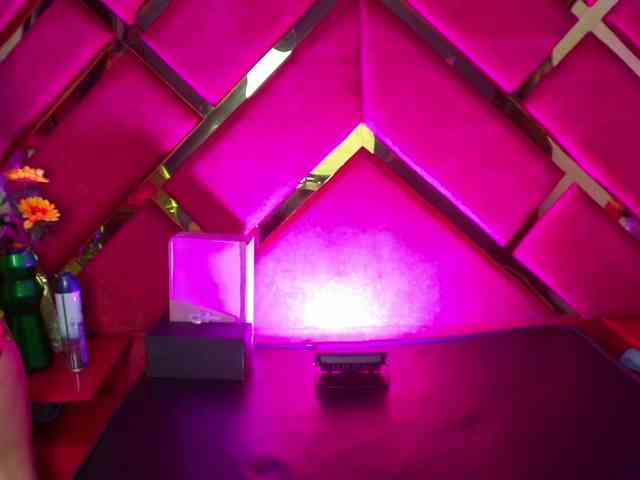 FreyjaNaugthy webcam