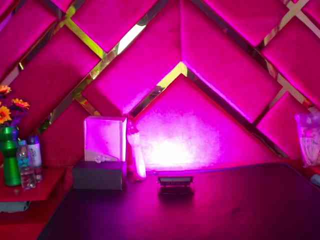 FreyjaNaugthy webcam