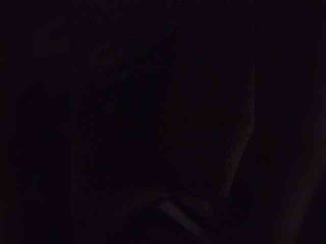 Kissa-Kot webcam