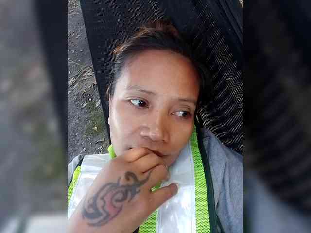 Ladytrucking webcam