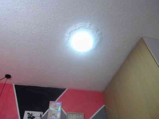 ameliiporter webcam