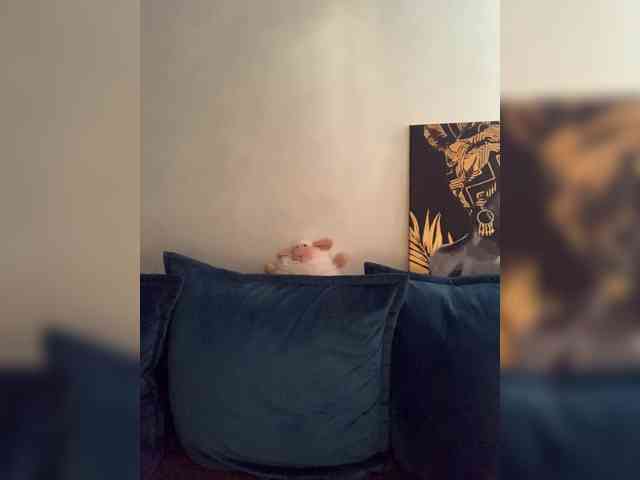 WILDGIRL webcam