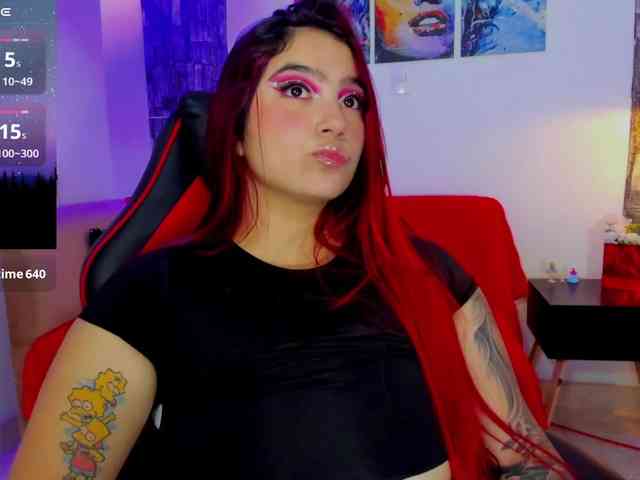 Ariadna-sc webcam