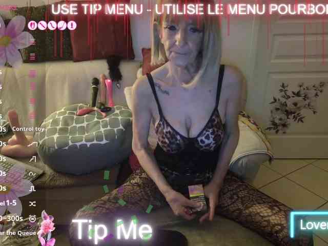 FRENCH-LISA webcam