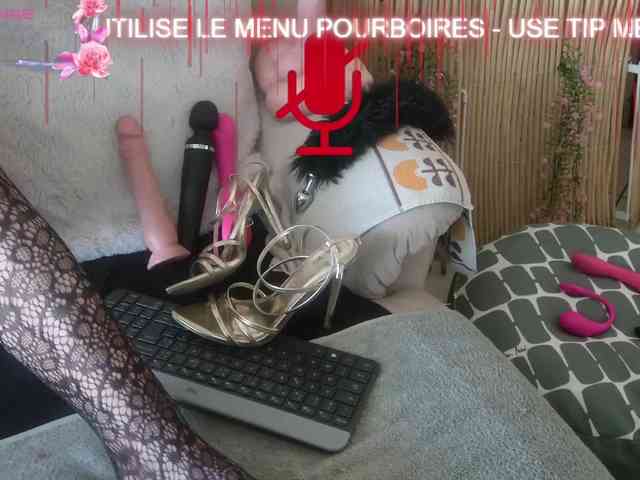 FRENCH-LISA webcam