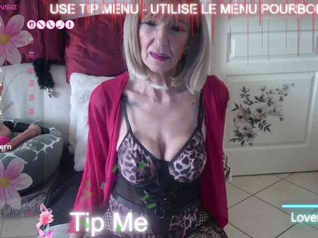 FRENCH-LISA webcam
