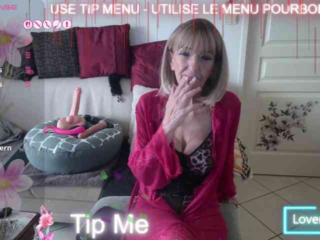 FRENCH-LISA webcam