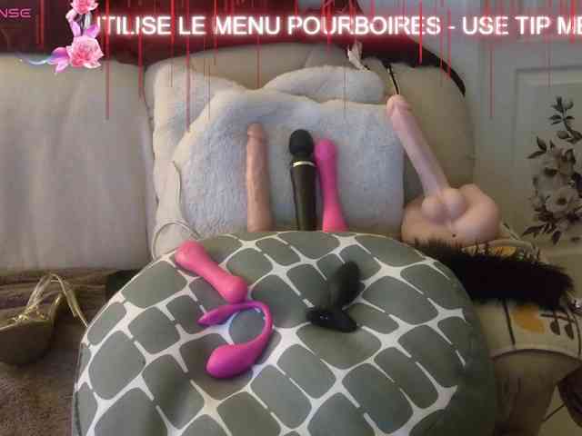 FRENCH-LISA webcam