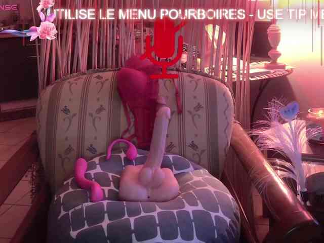 FRENCH-LISA webcam
