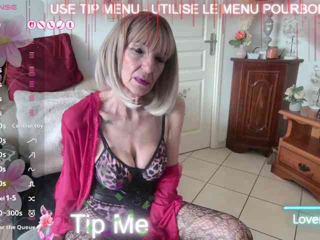 FRENCH-LISA webcam