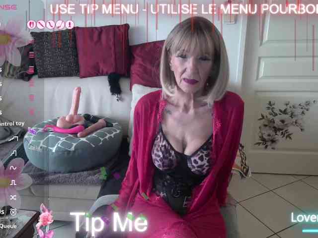 FRENCH-LISA webcam