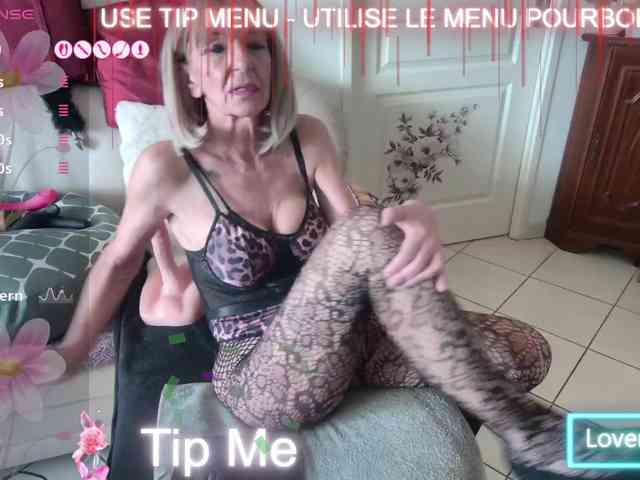 FRENCH-LISA webcam