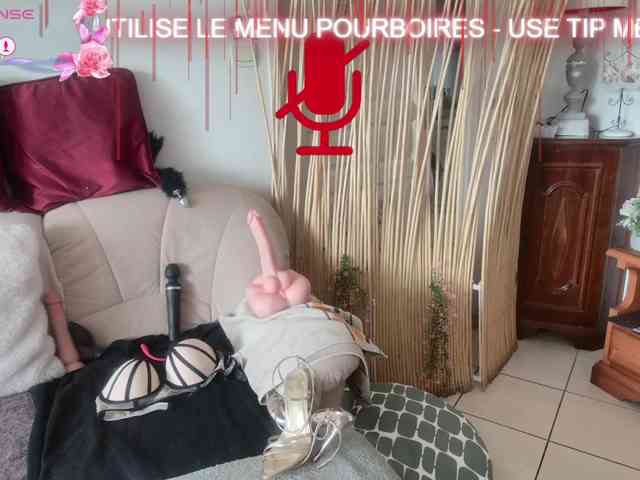 FRENCH-LISA webcam