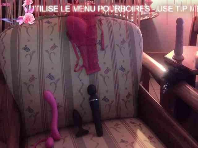 FRENCH-LISA webcam