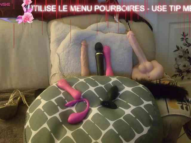 FRENCH-LISA webcam