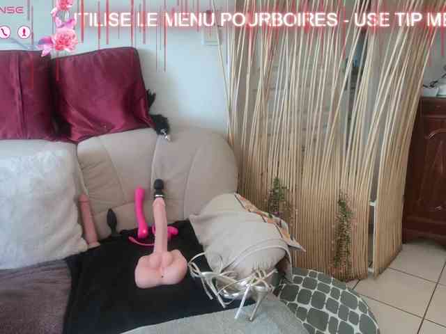 FRENCH-LISA webcam