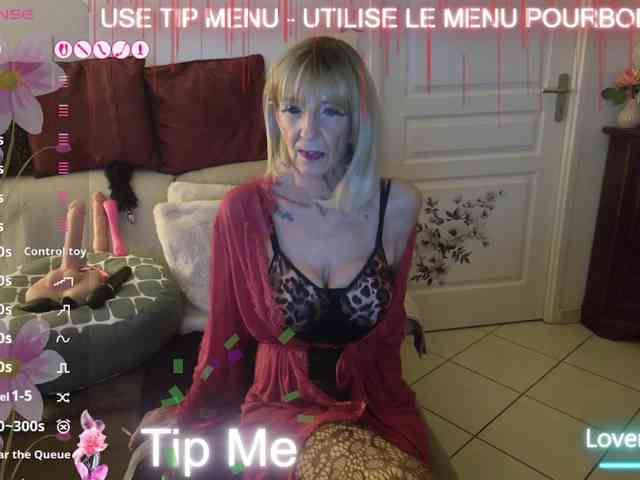 FRENCH-LISA webcam