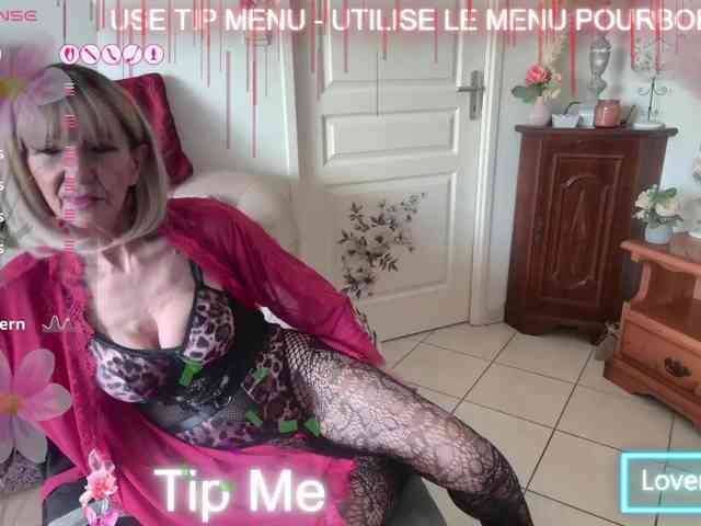 FRENCH-LISA webcam