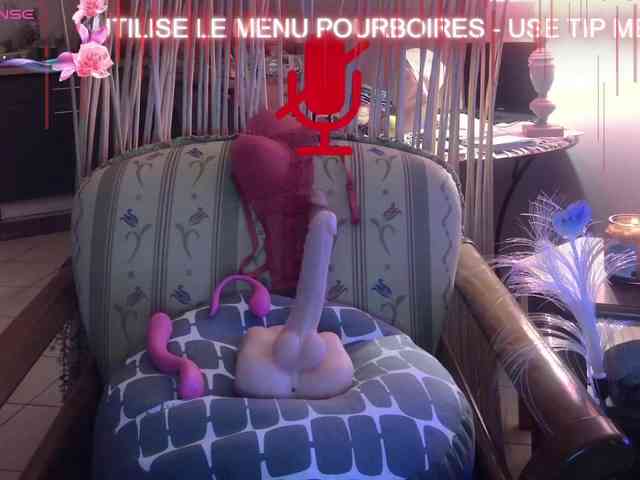 FRENCH-LISA webcam