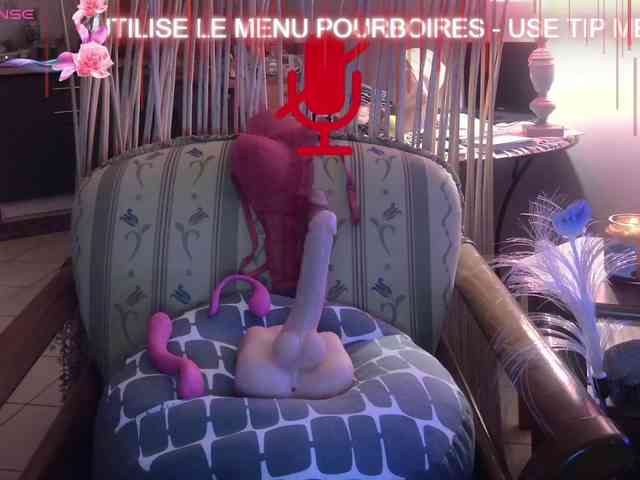 FRENCH-LISA webcam